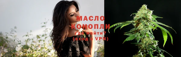 амф Краснослободск