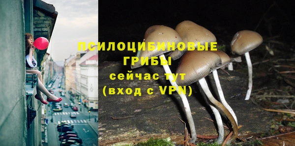 Альфа ПВП Костерёво
