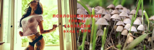 таблы Коряжма